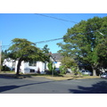 DSC01471